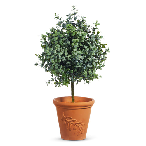20" Boxwood Topiary