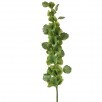 38" Bells of Ireland Stem
