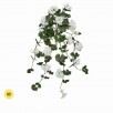 UV Protected Hanging Geranium