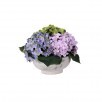 Hydrangea Mound in Cement Bowl