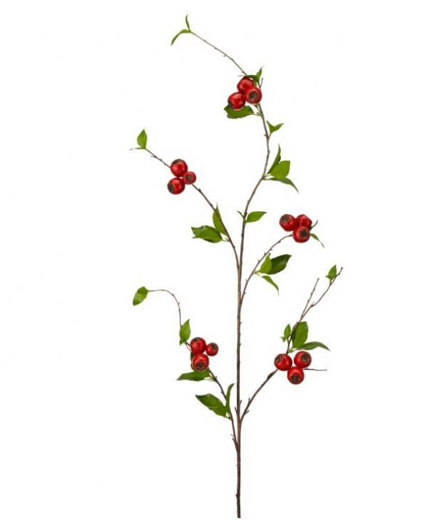 Northern Berry Spray