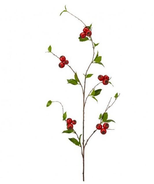 Northern Berry Spray