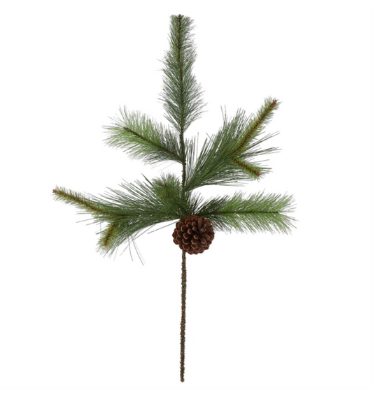 Pine Stem with Pinecone