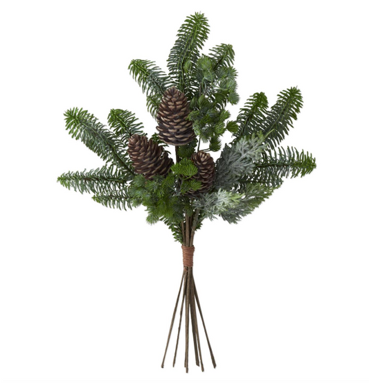 Mixed Pine Bundle with Pinecones
