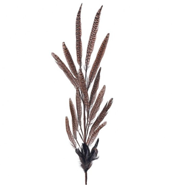 Pheasant Feather Spray