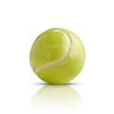 Nora Fleming game set match! mini