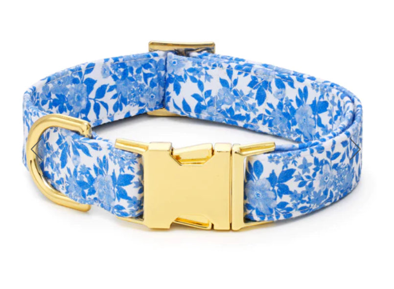 The Foggy Dog Collar