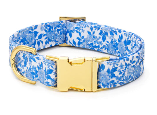 The Foggy Dog Collar