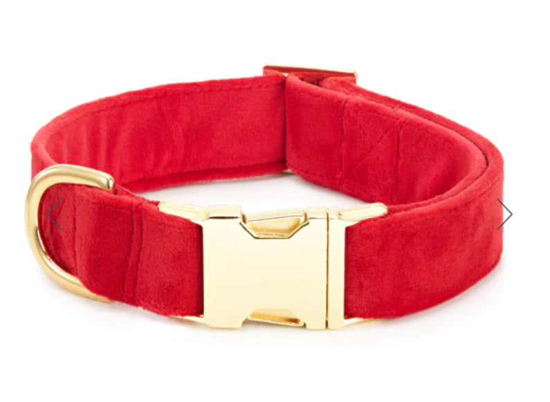 The Foggy Dog Collar