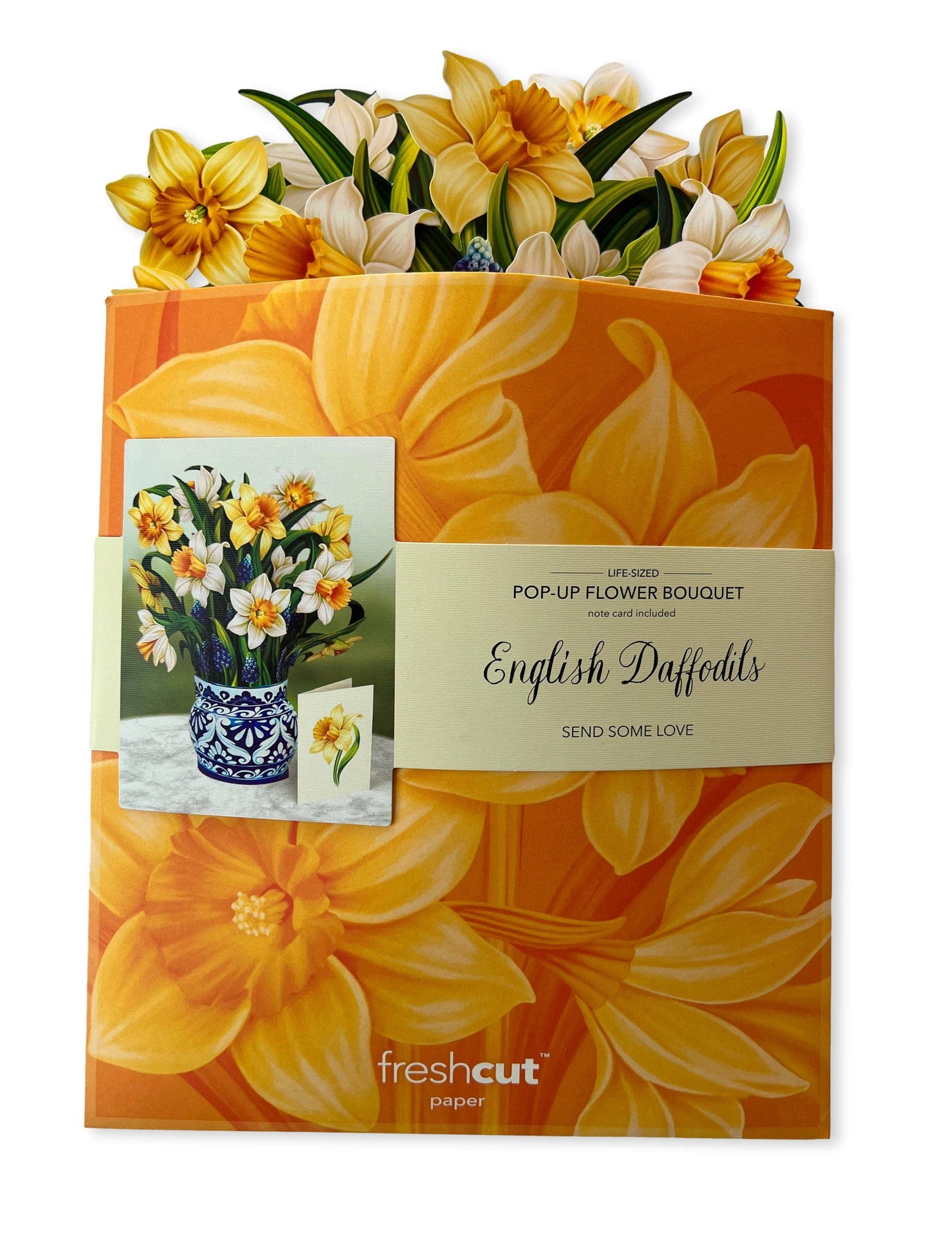 Fresh Cut Paper English Daffodils