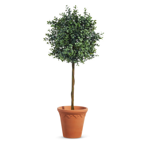 34" Boxwood Topiary