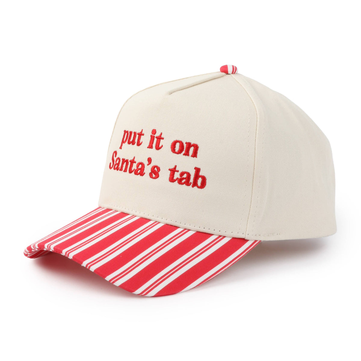 PUT IT ON SANTA'S TAB Embroidered Stripe Brim Two Tone Cap