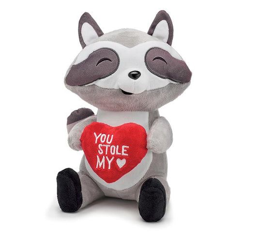 Valentine You Stole My Heart Racoon Plush