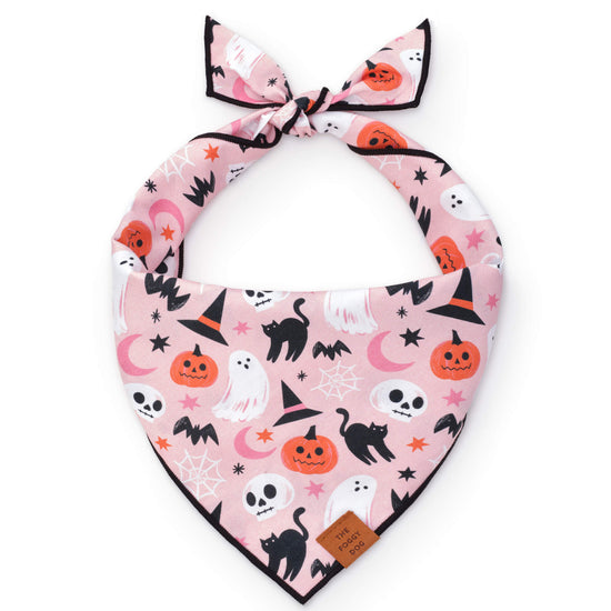 The Foggy Dog Bandana