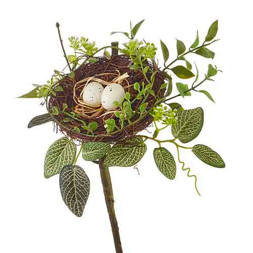 Bird Nest with Eggs Branch