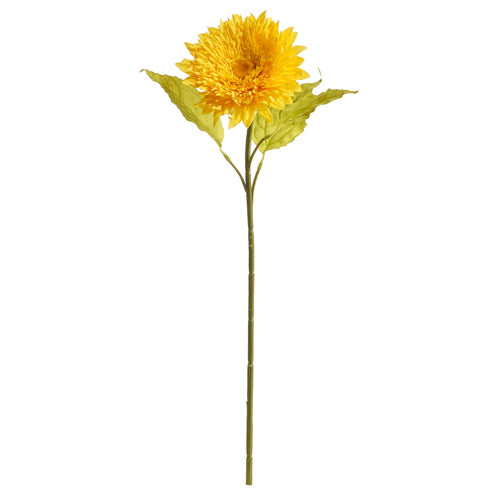 Yellow Chrysanthemum Stem