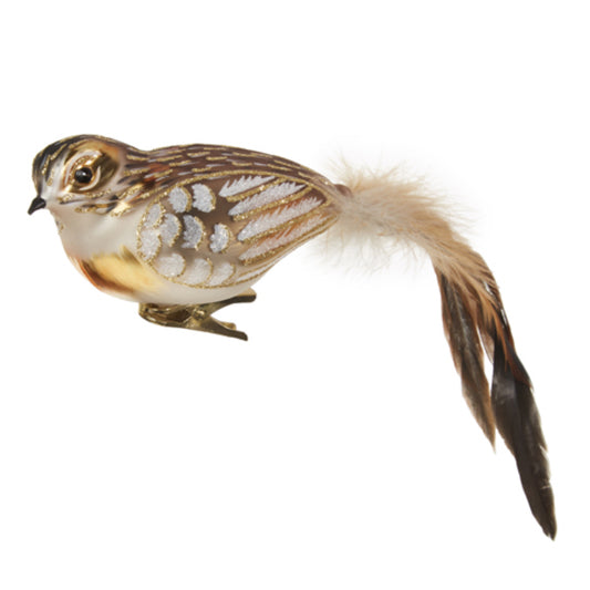 Clip-on Feathered Tail Bird Ornament