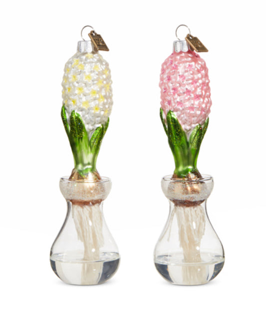 Hyacinth Bulb Ornament