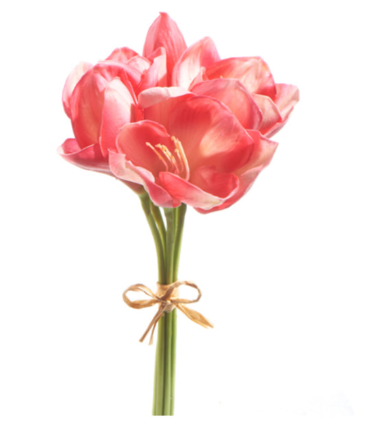 Real Touch Pink Amaryllis Bundle