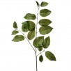 Real Touch Salal Stem