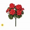 UV Protected Red Geranium
