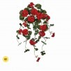 UV Protected Hanging Geranium