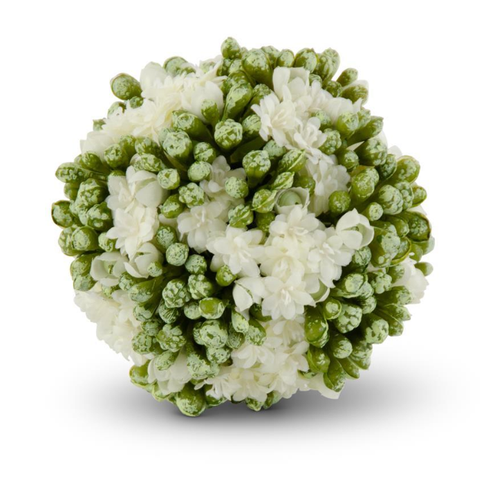 4" White Kalanchoe Ball