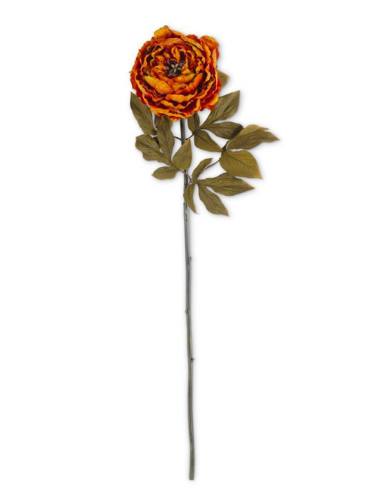 Rusty Orange Peony Stem