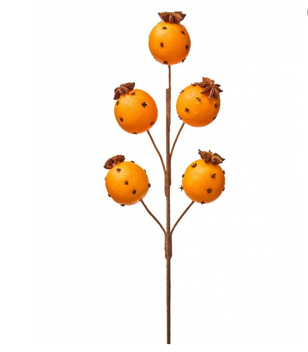 Clove & Orange Spray Stem