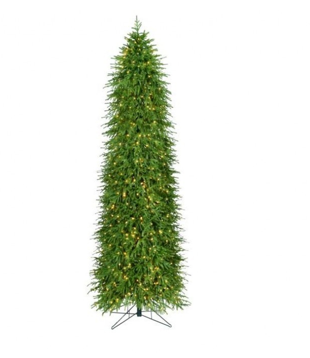 9' Norfolk Pine Tree
