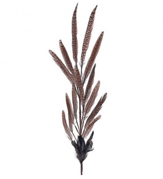 Pheasant Feather Spray