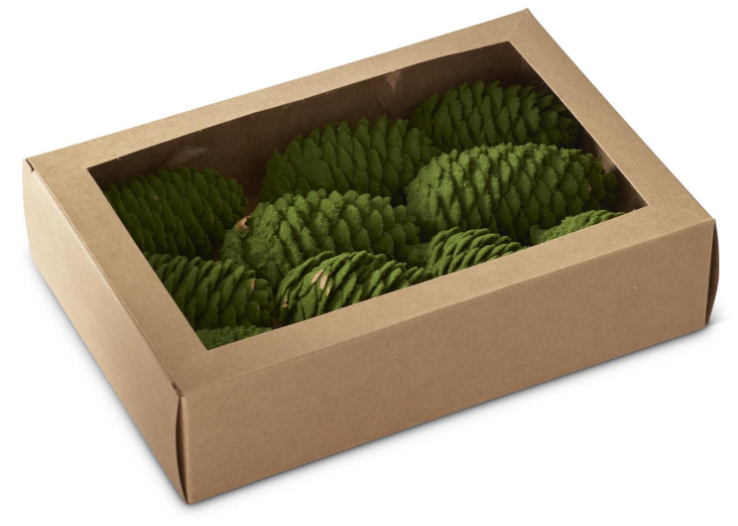 Boxed - Green Flocked Pinecones