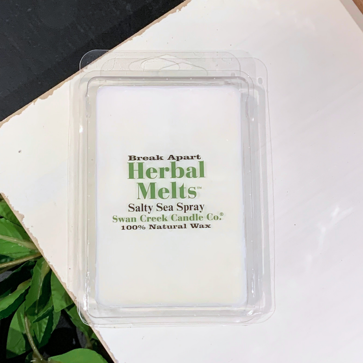 Salty Sea Spray Wax Melts from Swan Creek