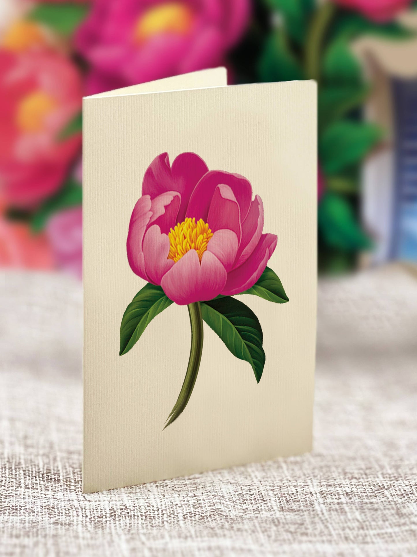 Fresh Cut Paper Peony Paradise