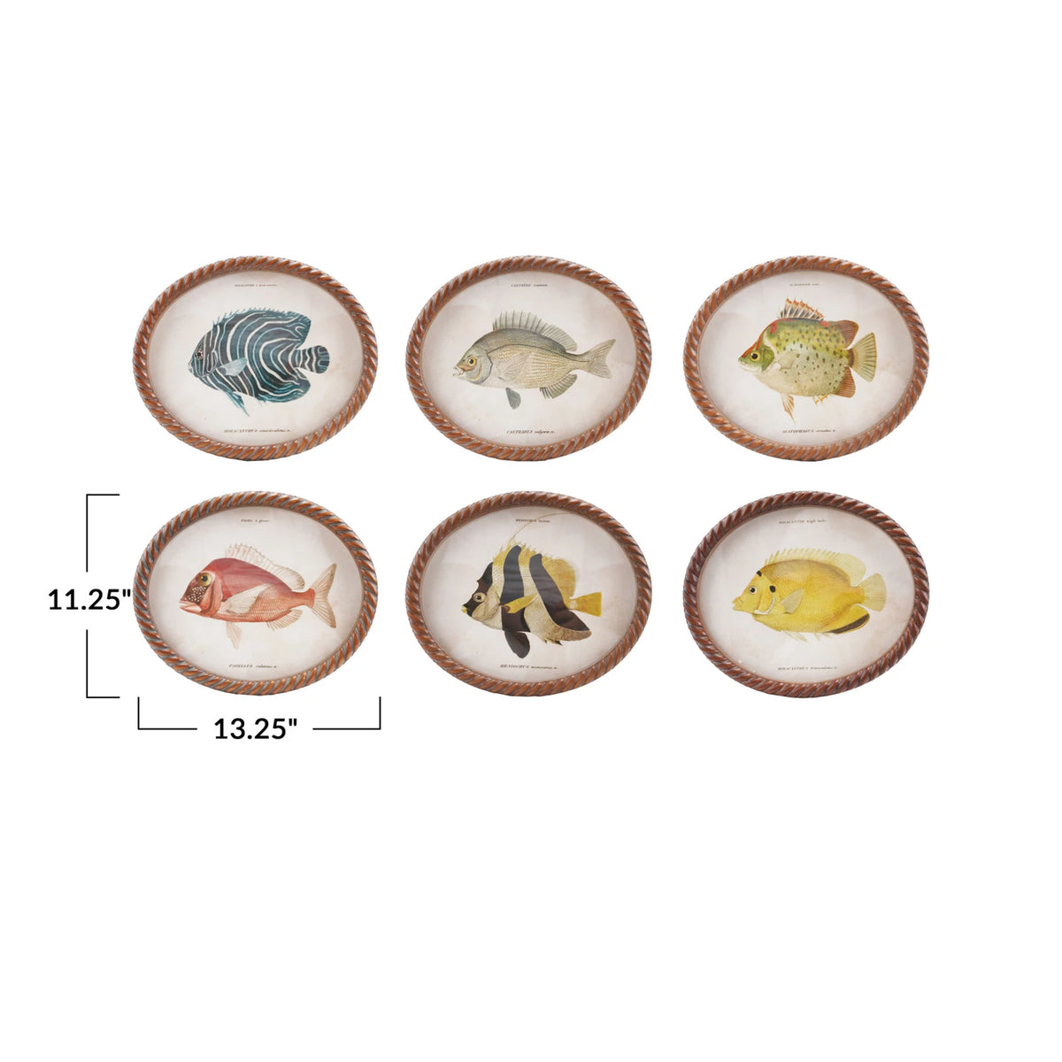 Oval Twisted Frame Fish Print