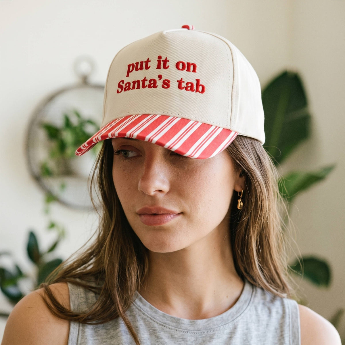 PUT IT ON SANTA'S TAB Embroidered Stripe Brim Two Tone Cap