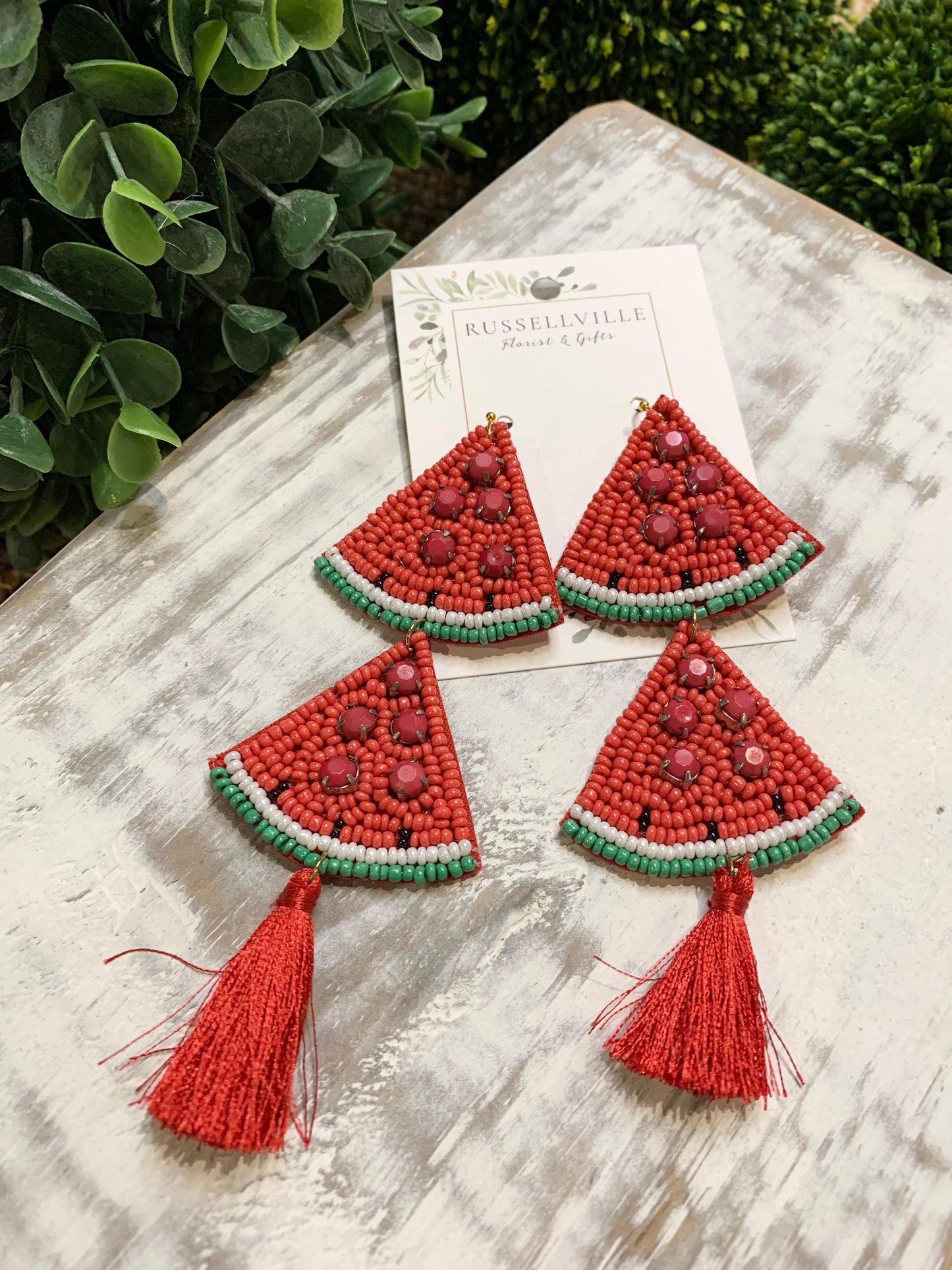 Watermelon Slice Tassel Statement Earring