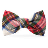 The Foggy Dog Bow Tie