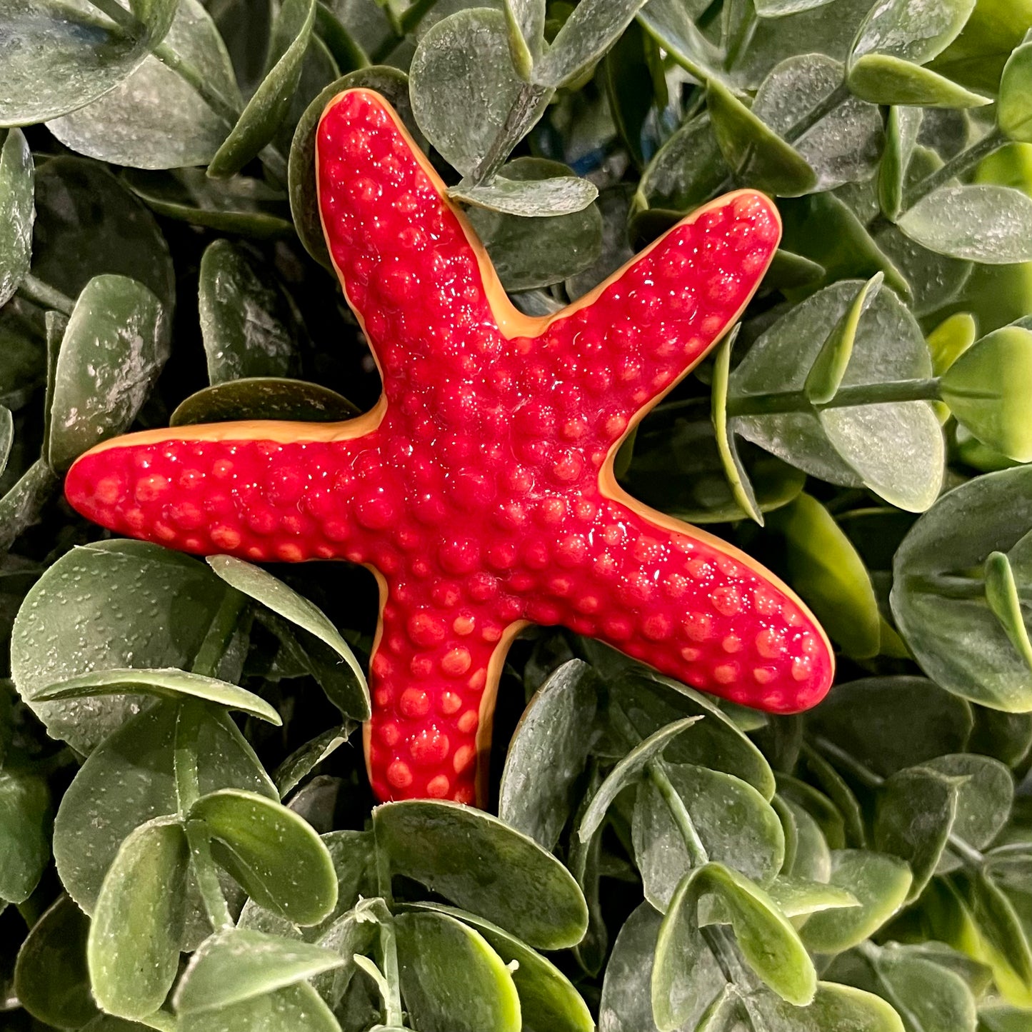 *Retired* Nora Fleming Sea Star Ceramic Mini